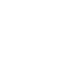 Spin Master